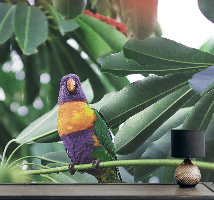 Ihanat värilliset linnut afrikkalaistyylinen valokuvatapetti - Tenstickers