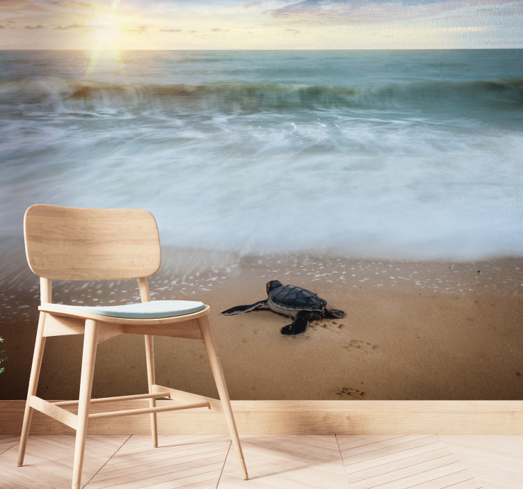 Kilpikonna rannikolla eläimen valokuvatapetti - Tenstickers