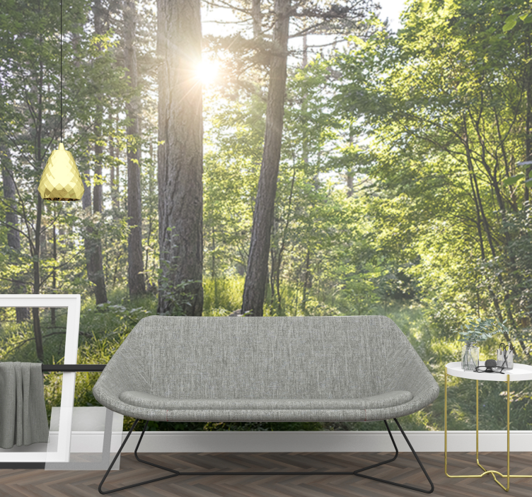 Kirkas metsäpolku luonto valokuvatapetti - Tenstickers