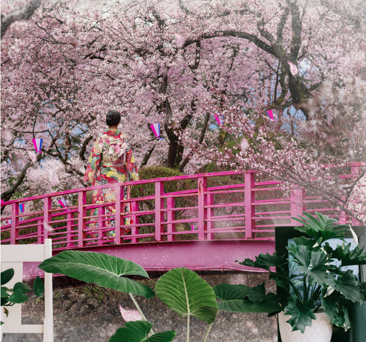 Kirsikankukka ja punainen silta Muut kukat valokuvatapetti - Tenstickers