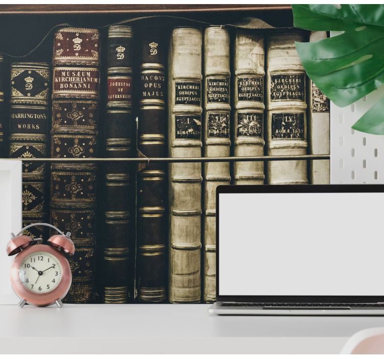 Klassinen taide valokuvatapetti antiikkikirjahylly kokoelma - Tenstickers