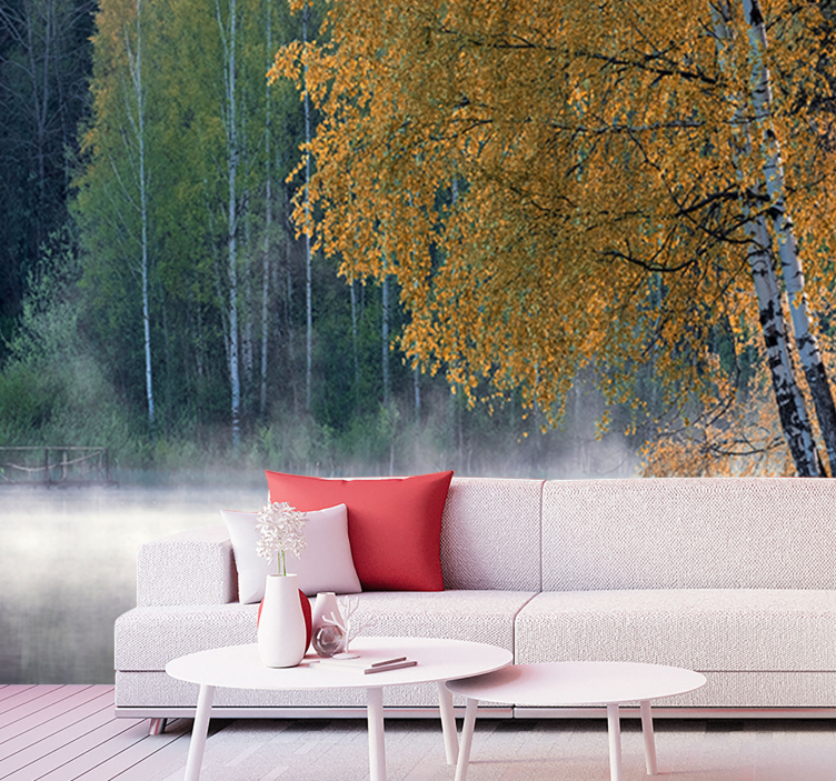 Koivu ja järvi järvi valokuvatapetti - Tenstickers