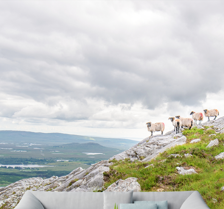 Lampaiden leikki rinteillä muut eläimet valokuvatapetti - Tenstickers