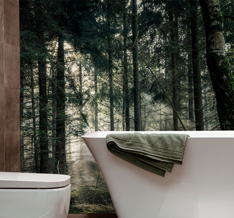 "luonto" metsä tummilla sävyillä päivällä valokuvatapetti luonto - Tenstickers