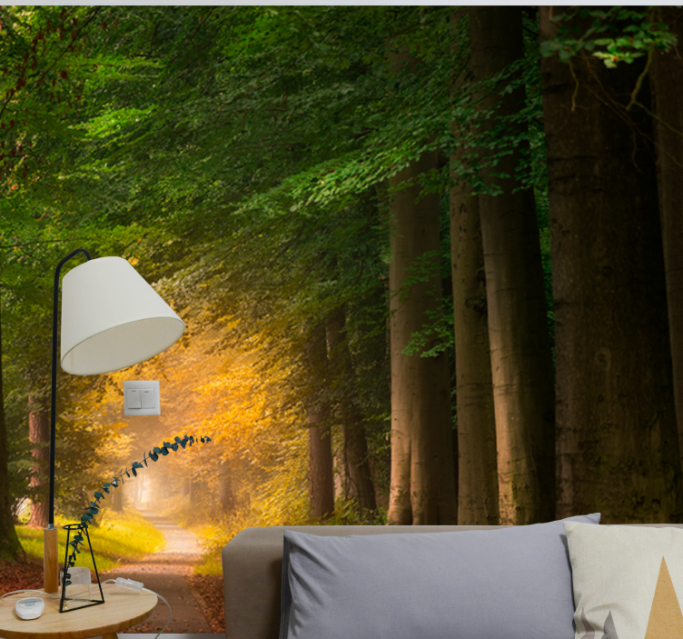 Luonto valokuvatapetti metsäpolun maisema - Tenstickers