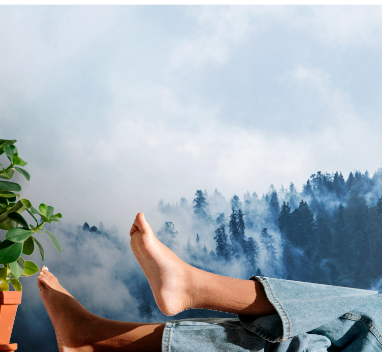 Luonto valokuvatapetti sumuinen metsämaisema - Tenstickers