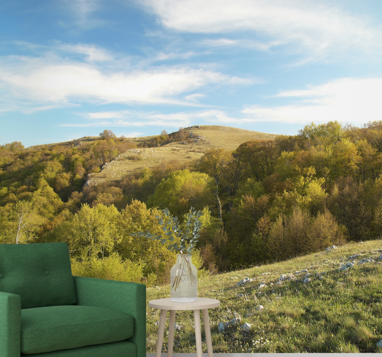 Maaseutumaisema valokuvatapetti luonto - Tenstickers