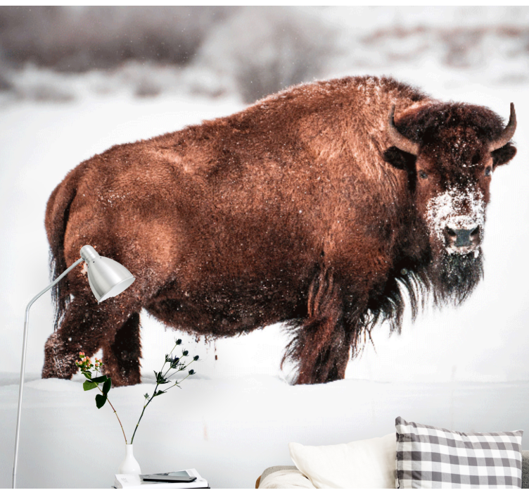 Majesteettinen biisoni asennossa eläin valokuvatapetti - Tenstickers