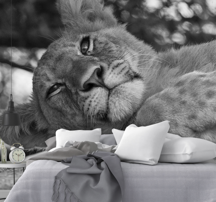Majesteettinen leijona rauhoittava valokuvatapetti - Tenstickers