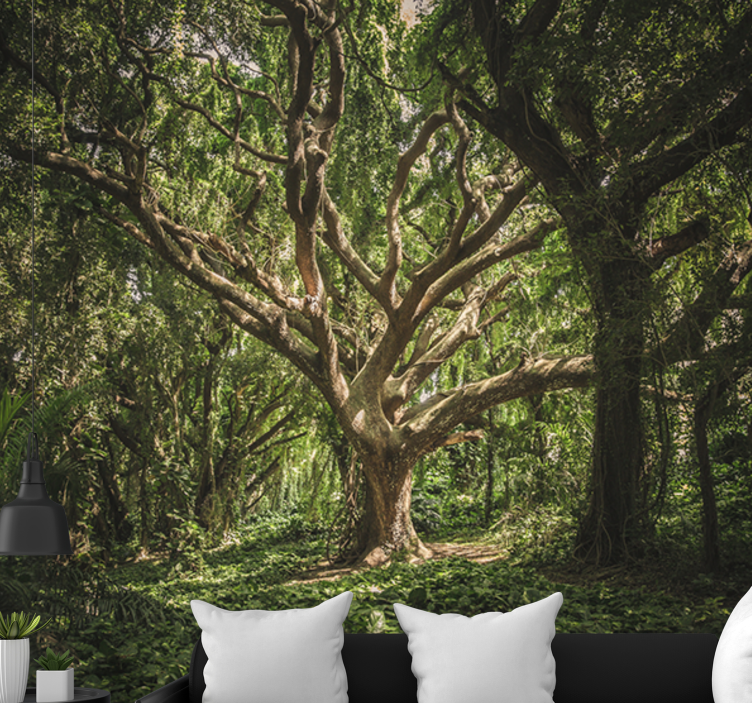 Majesteettinen metsäkatto valokuvatapetti - Tenstickers