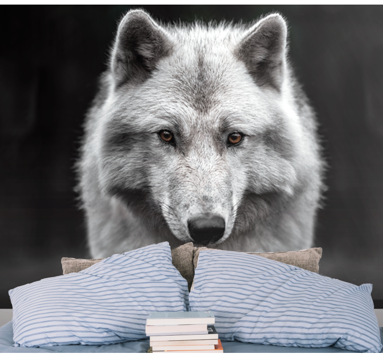 Majesteettinen susi muotokuva eläin valokuvatapetti - Tenstickers