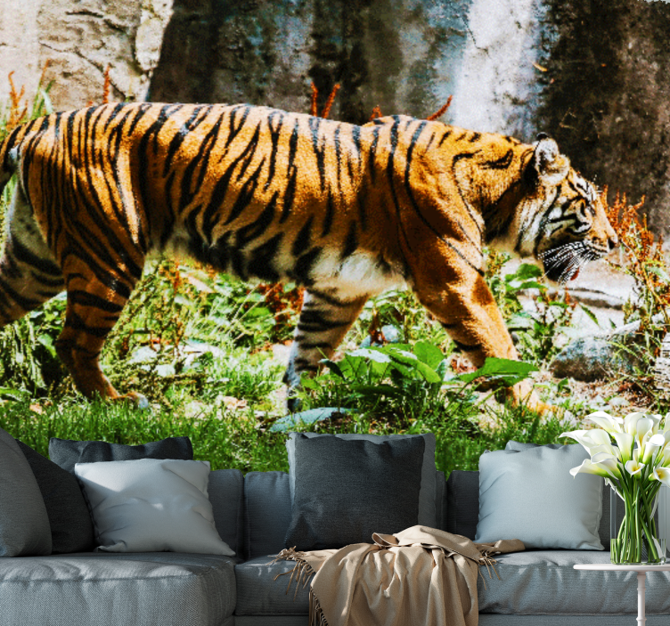 Majesteettinen tiikeri kävelee eläin valokuvatapetti - Tenstickers