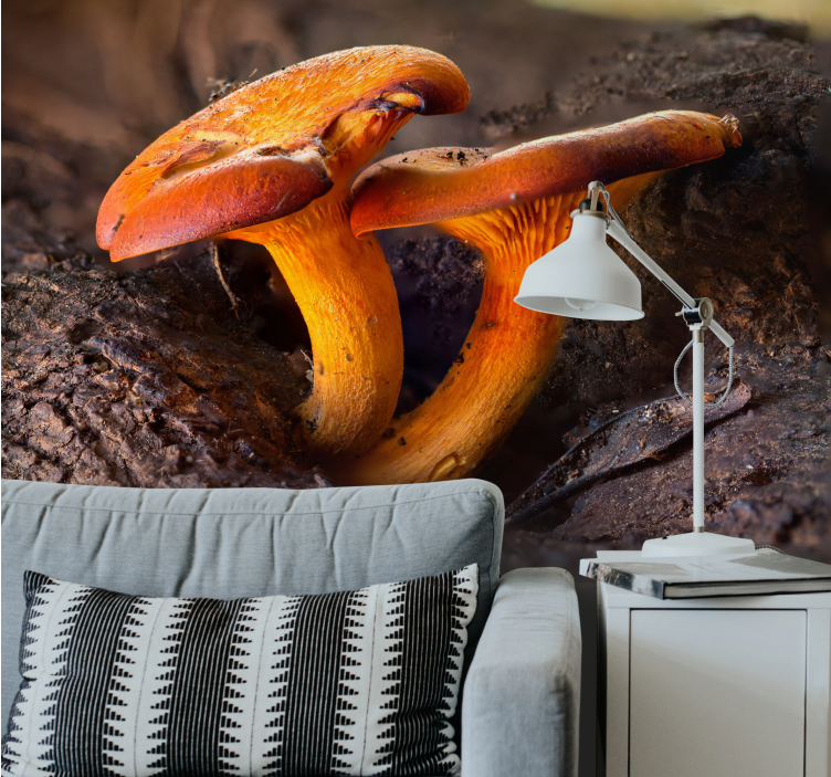 Metsä valokuvatapetti sienimetsämaisemalla - Tenstickers