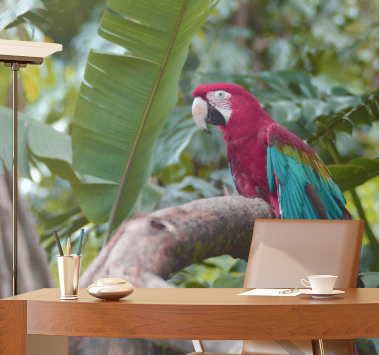 Muut eläimet valokuvatapetti värikäs ara-papukaija - Tenstickers