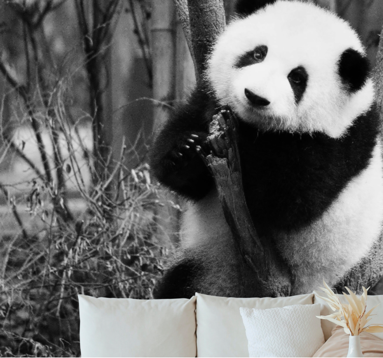 Pandapuu eläin valokuvatapetti - Tenstickers