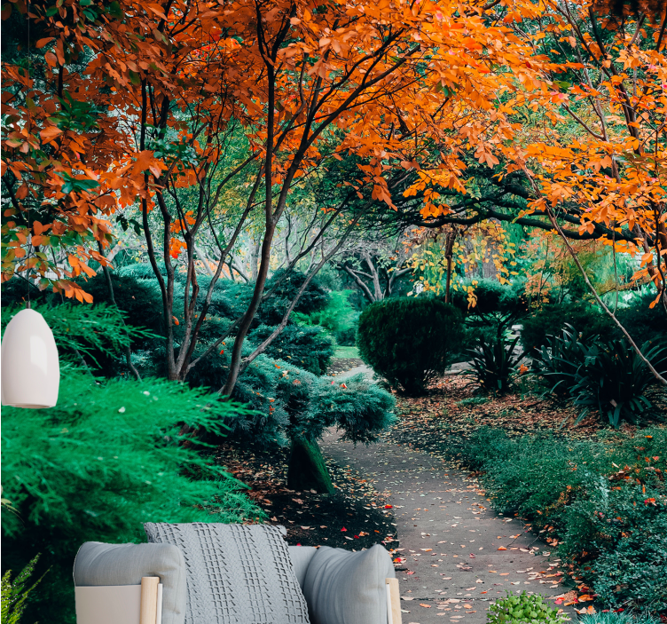 Polku puiden keskellä luonto valokuvatapetti - Tenstickers