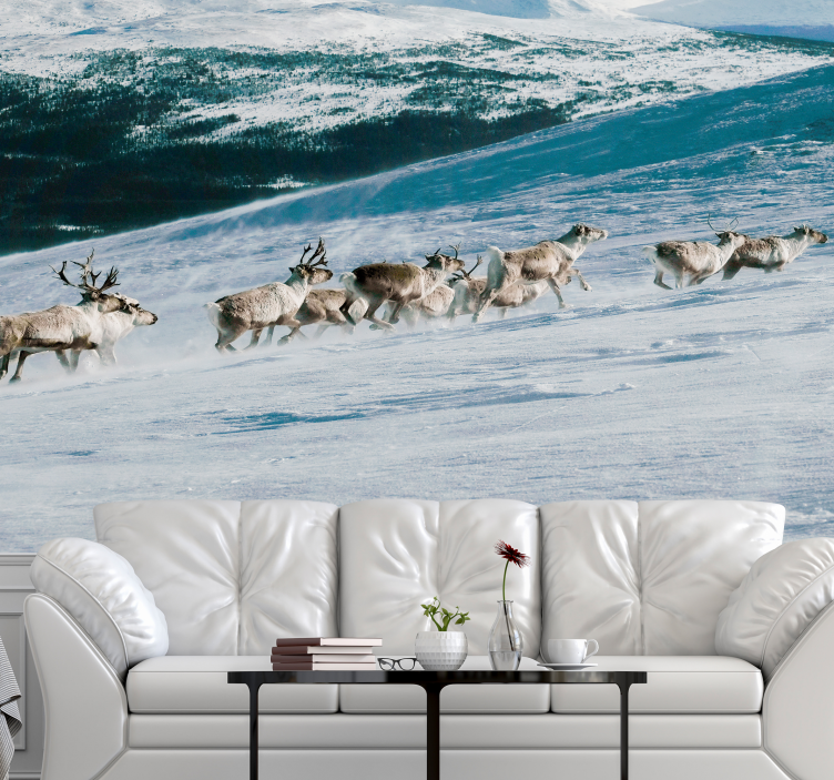 Poro kävely lumi tapetti kuvalla valokuvatapetti luonto - Tenstickers