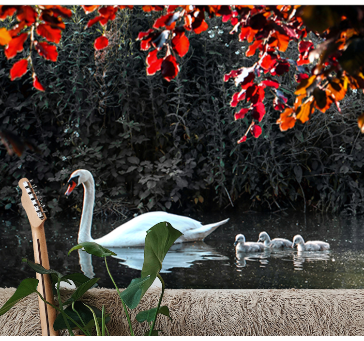 Puolalaiset joutsenet Muut eläimet valokuvatapetti - Tenstickers