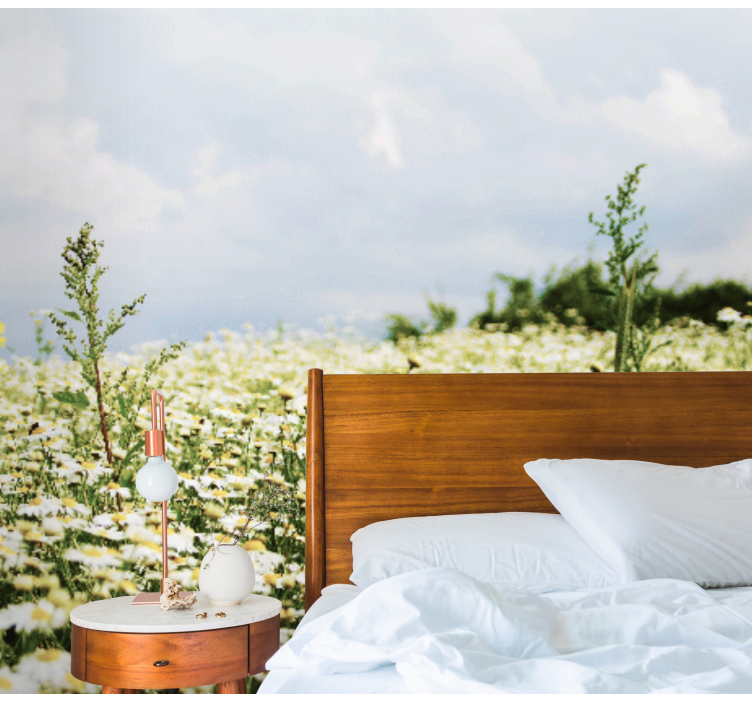 Rauhallinen koiranputkea valokuvatapetti luonto - Tenstickers