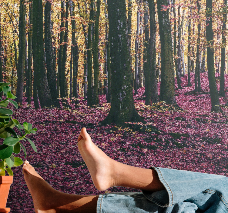 Rauhallinen metsämaisema luonto valokuvatapetti - Tenstickers