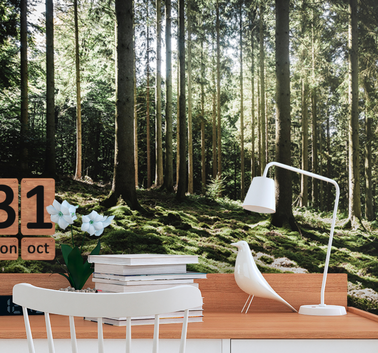 Rauhallinen metsämaisema valokuvatapetti - Tenstickers