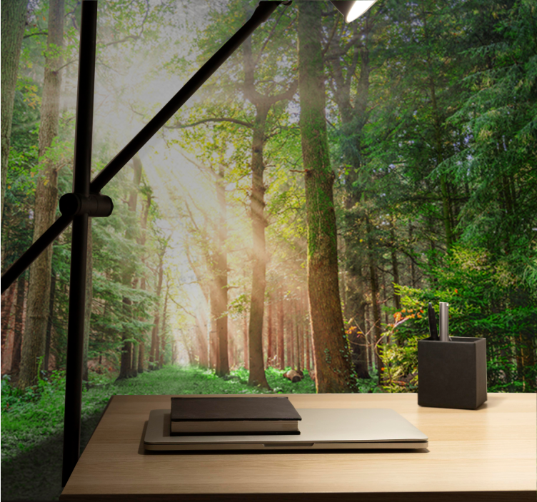 Rauhallinen metsäpolku valokuvatapetti - Tenstickers