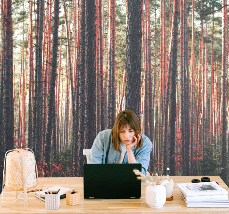 Rauhalliset mäntymetsät valokuvatapetti - Tenstickers