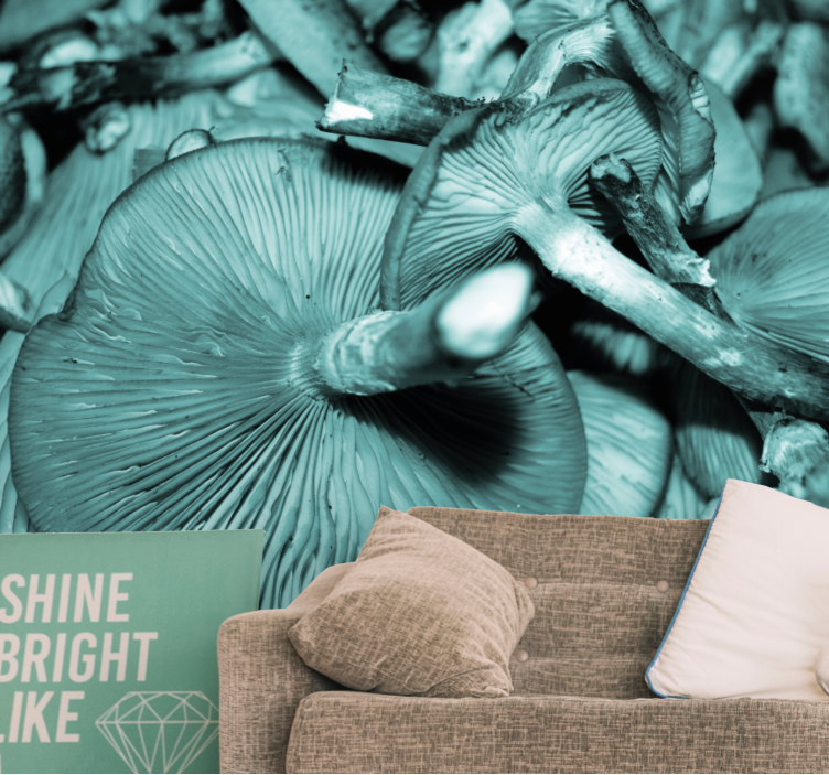 Sieniryhmäluonto valokuvatapetti - Tenstickers