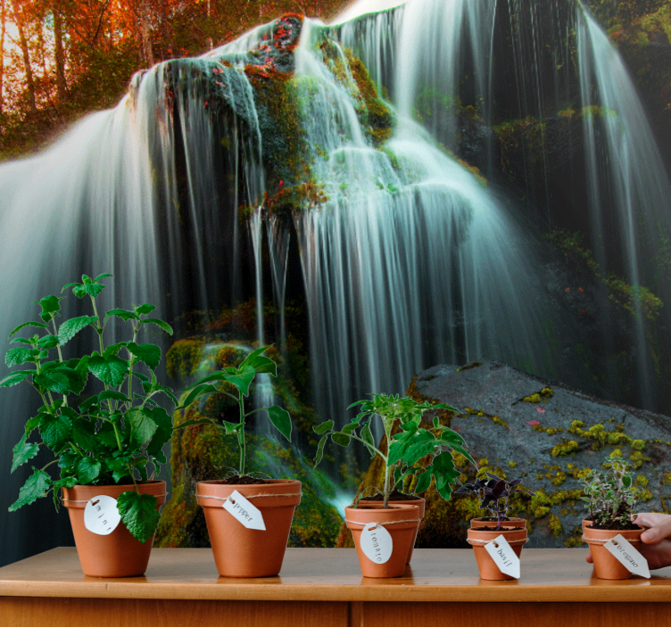 Siro putouksista valokuvatapetti - Tenstickers