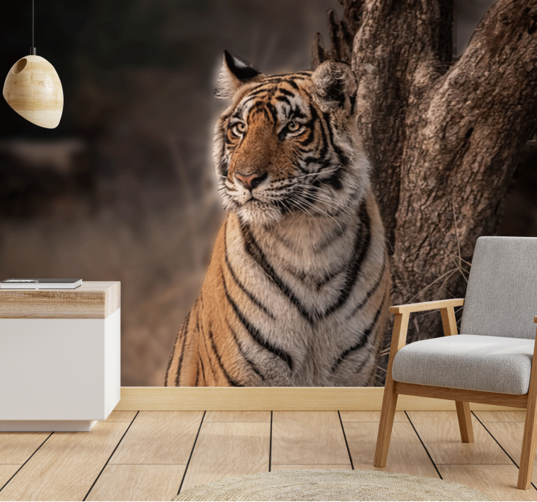 Tiikeri makaa puussa Muut eläimet valokuvatapetti - Tenstickers