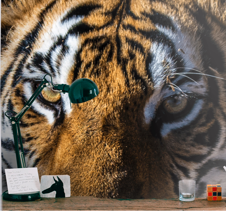 Upeat tiikerin lähikuvat eläin valokuvatapetti - Tenstickers