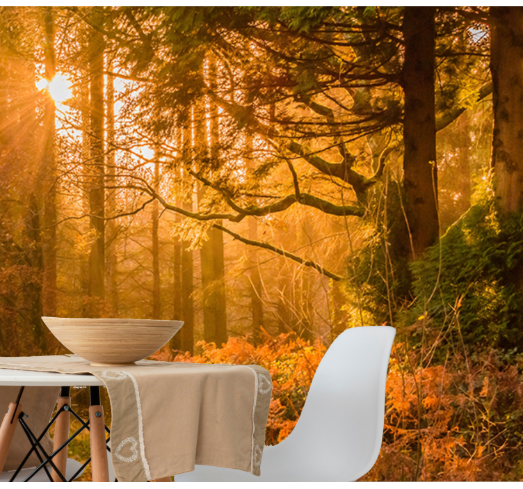 Vanha syksy puu auringonvalolla valokuvatapetti metsä - Tenstickers