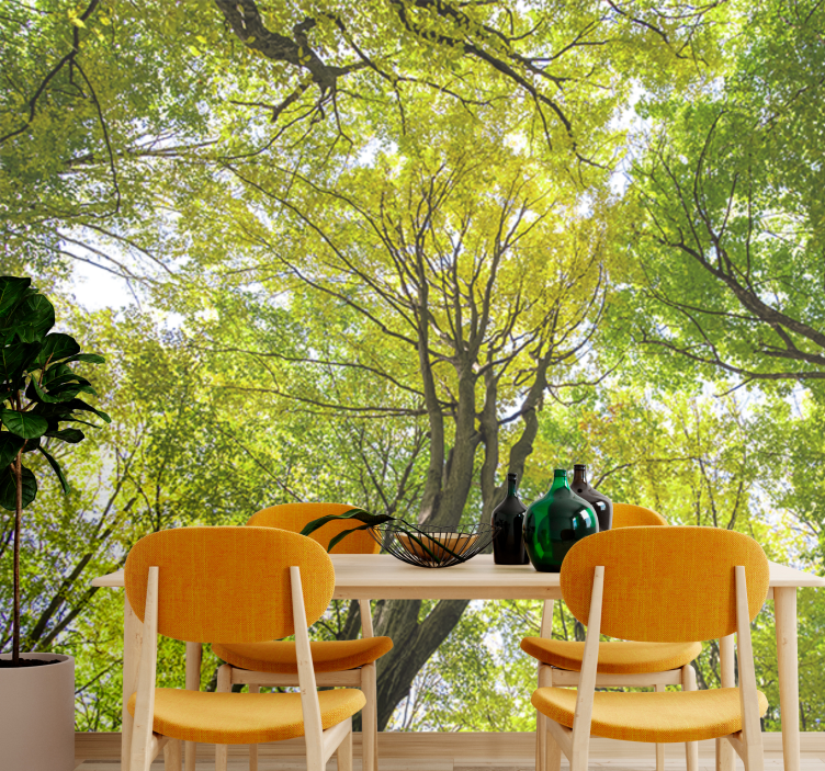 Vihreä metsäkatto luonto valokuvatapetti - Tenstickers