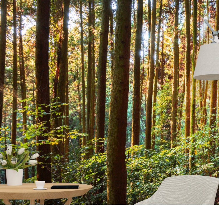 Vihreä tiheä metsä valokuvatapetti - Tenstickers