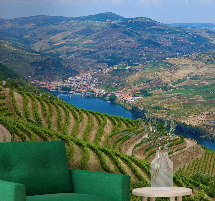 Viinitarhan laakson joki maisema valokuvatapetti - Tenstickers