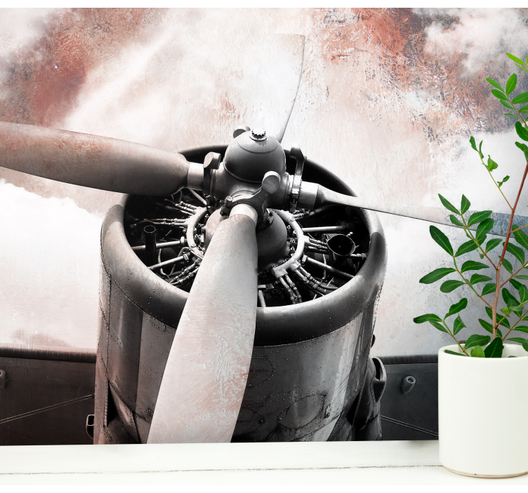 Vintage-lentokoneen potkuri ajoneuvo valokuvatapetti - Tenstickers