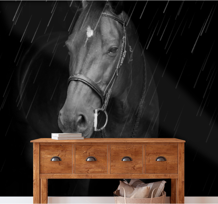 Ylväs hevosen muotokuvaeläin valokuvatapetti - Tenstickers