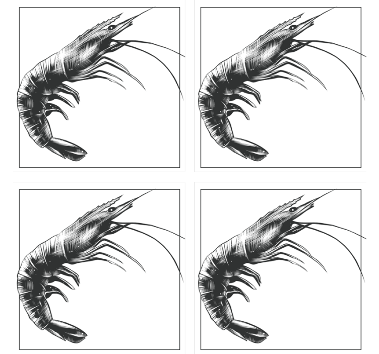 Kaunis käsin piirretty katkarapu lasinalunen - Tenstickers