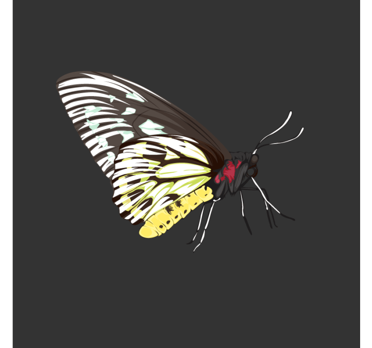 Kummajainen lasinalunen värikkäällä perhositaiteella - Tenstickers