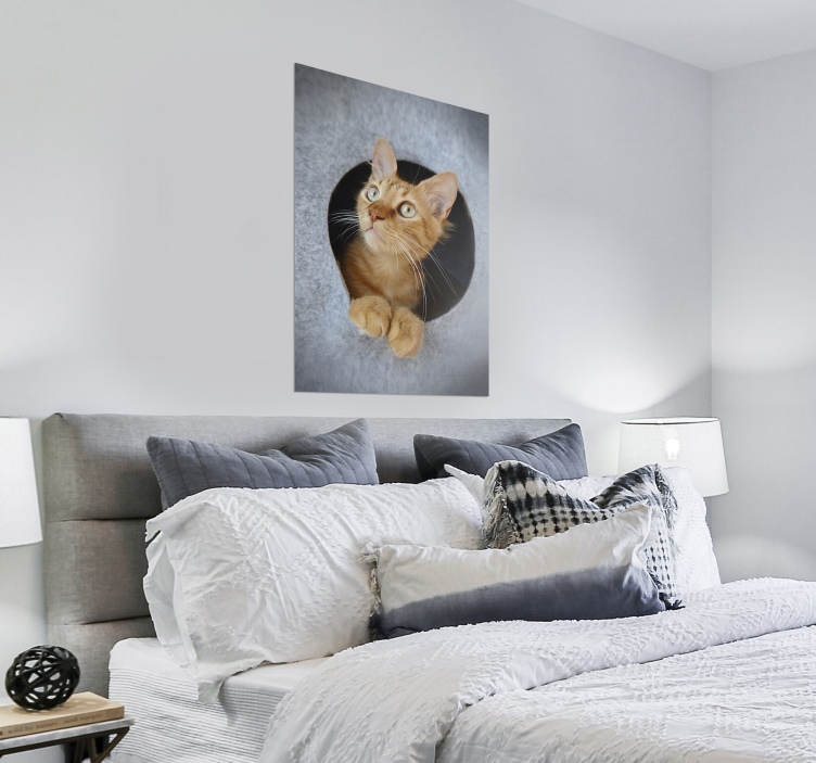 Kurkistava kissajulisteprinttisuunnittelu - Tenstickers