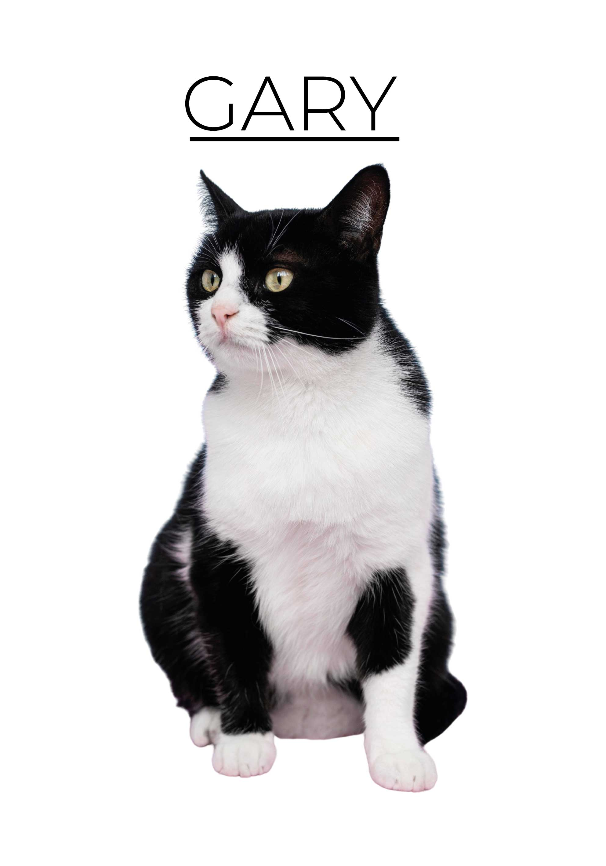 Henkilökohtainen minimalistinen eläinjuliste - Tenstickers