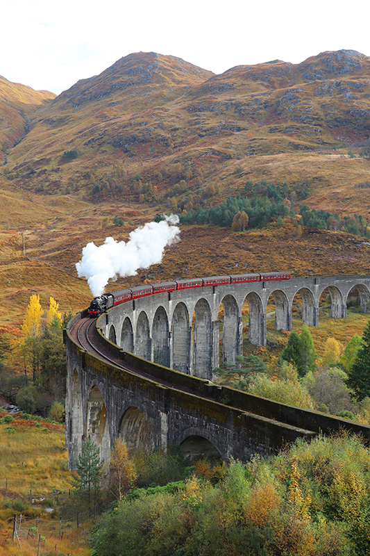 Liikkuva juna realistinen valokuvajuliste - Tenstickers