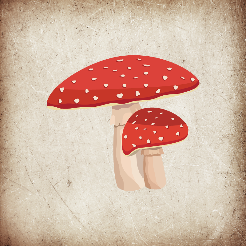 Amanita-sienijulistekeittiöjuliste - Tenstickers