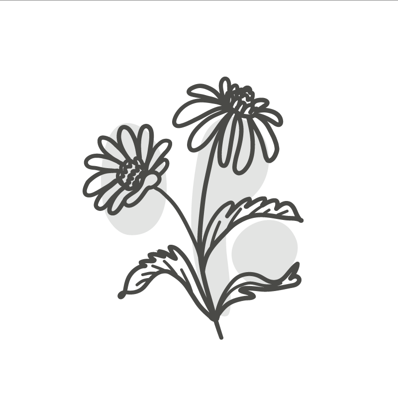 Kukkakimppu päivänkakkaroita viivapiirrosjuliste - Tenstickers