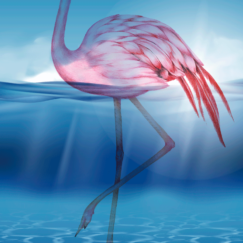 Flamingon vedenalainen suunnittelu juliste - Tenstickers