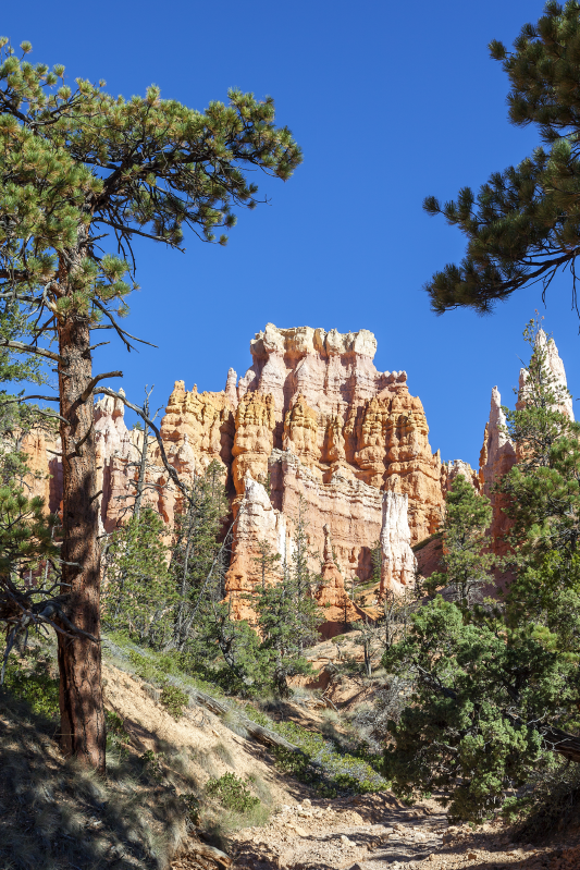 Bryce canyon maisemajuliste - Tenstickers