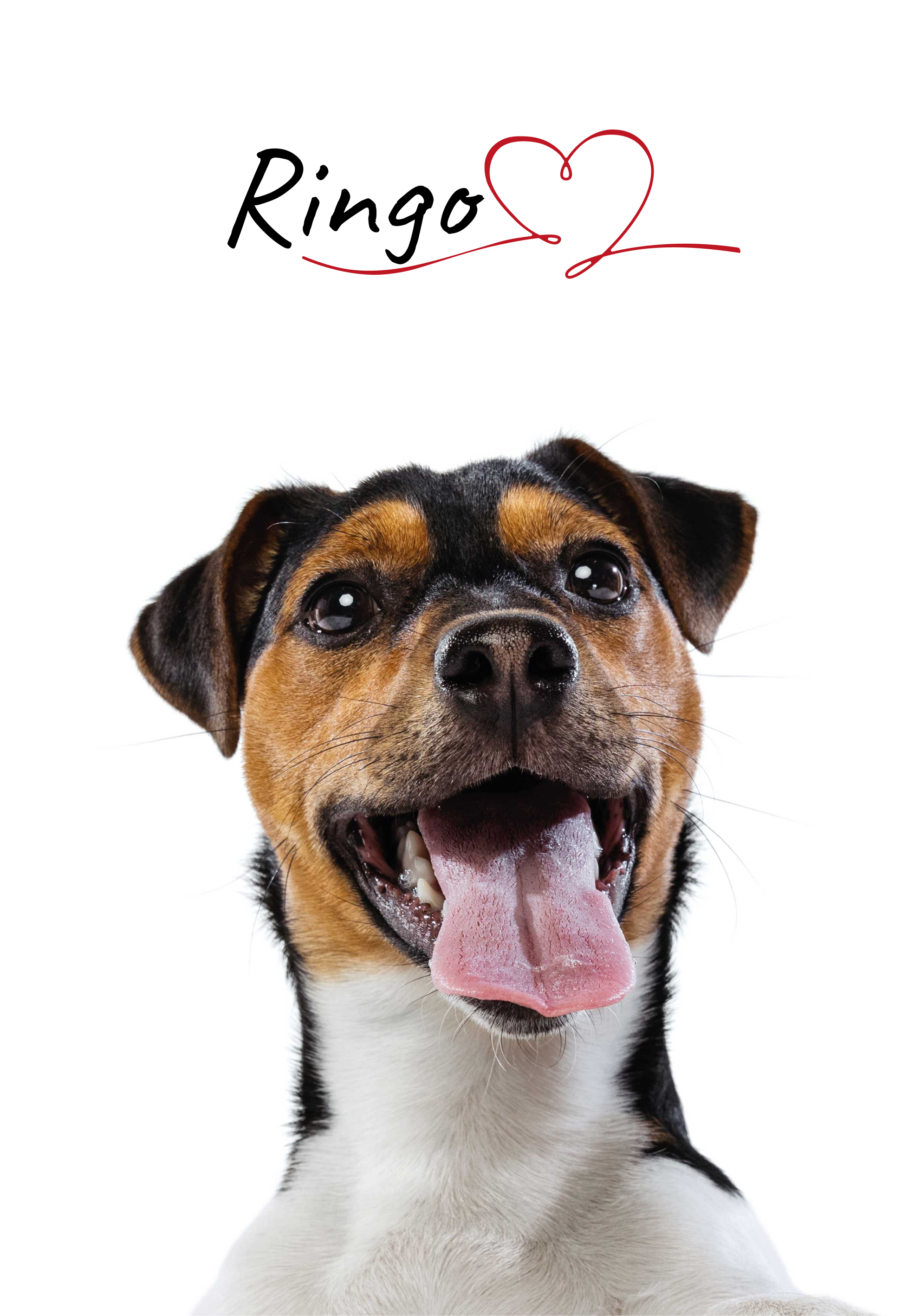 Mukautettu koiran rakkausjuliste seinälle - Tenstickers