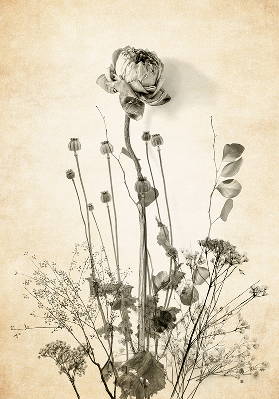 Kukkakimppu beigellä taustalla kukkajuliste - Tenstickers