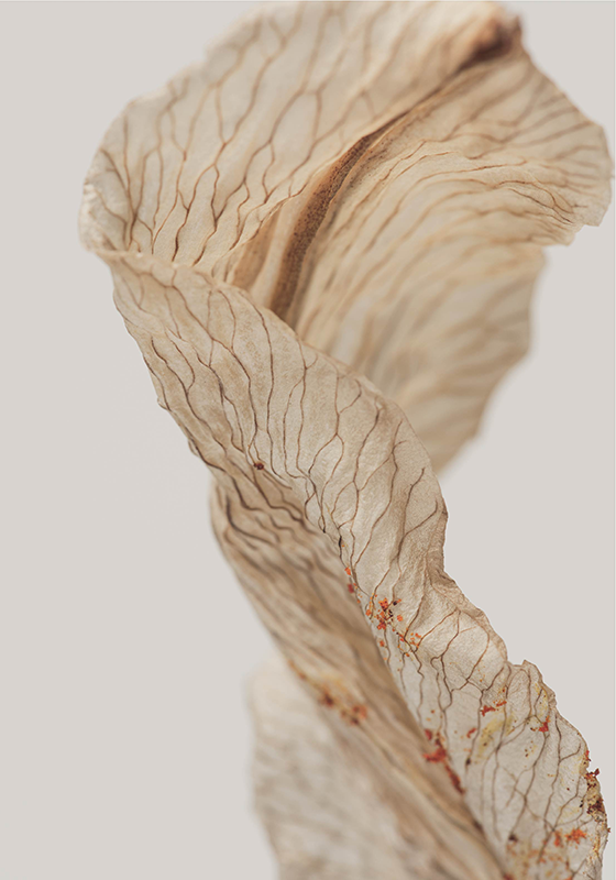 Makrokuva lehdestä minimalistinen juliste - Tenstickers