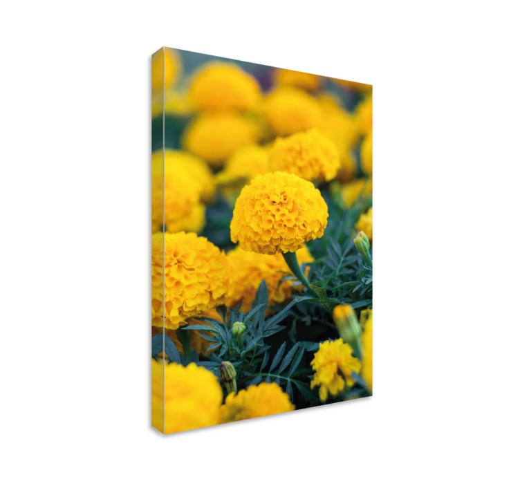 3d rama flores naranjas 3d canvas - Tenstickers